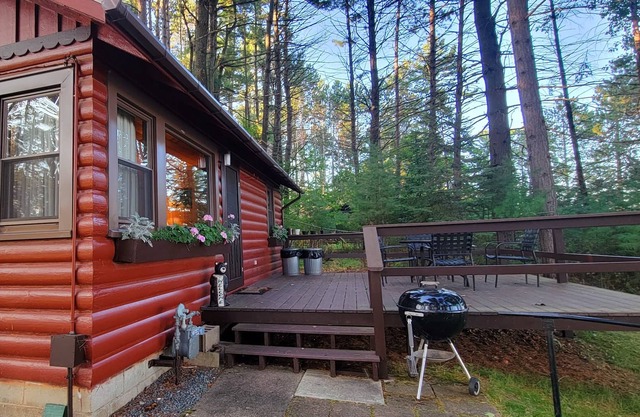 Beautiful Northwoods Cabin with Large Deck, Dock, Community Firepit & kayaks