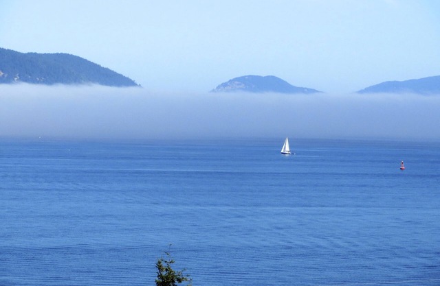 Schöner Ozeansonnenuntergang, Fidalgo-Insel, Washington State