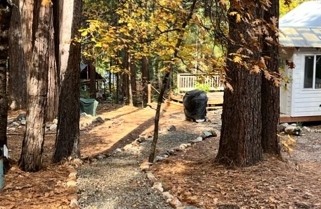 Beautiful, Peaceful Family and Pet Friendly Cabin in Woods. Sleeps 10.