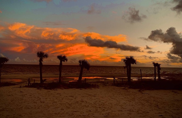 Beautiful Pelican View - Gulf of Mexico