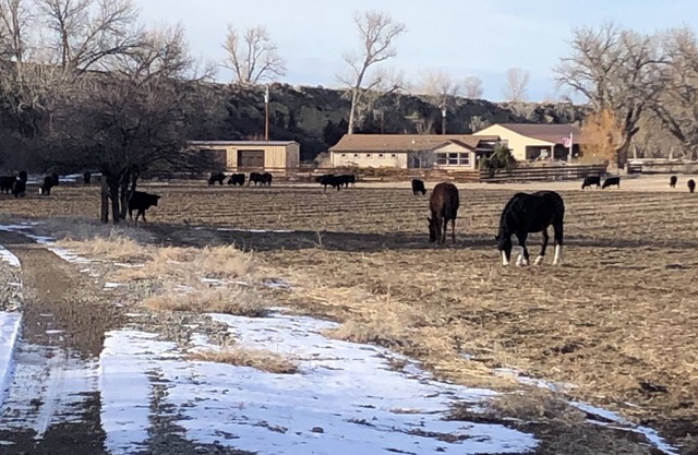 Schönes privates Big Horn River Ranch Haus