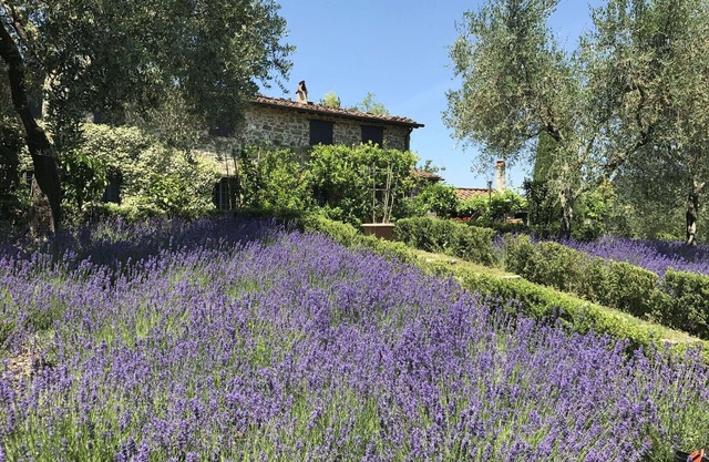 Alleinstehendes Ferienhaus mit privatem Pool, W-LAN, TV, Innenhof, Panoramablick, bei Lucca