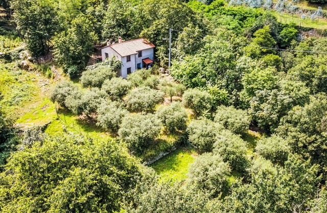 Wunderbares alleinstehendes Ferienhaus mit W-LAN, TV, Innenhof, Haustiere erlaubt und Parkplatz