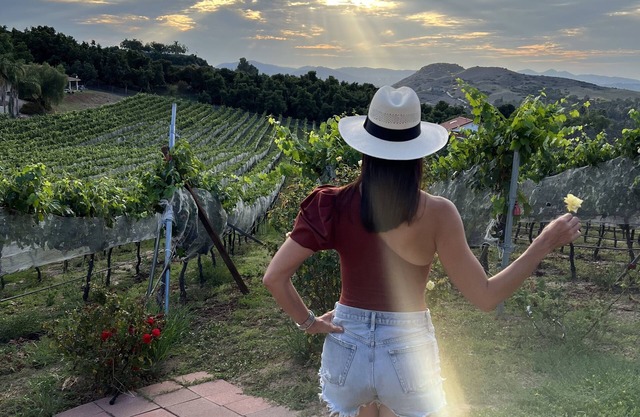 Beautiful Private Vineyard and Winery Estate Guest Living Quarters on 5-Acres