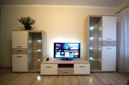 Beautiful renovated apartment
