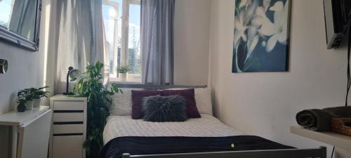 Beautiful Rooms near Hampton Court R1