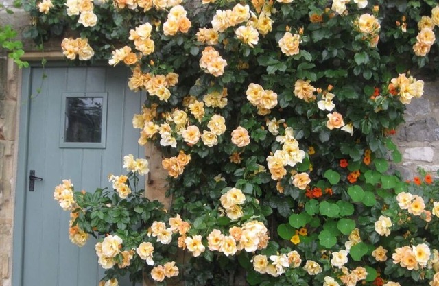 Wunderschöne ländliche Umgebung im Herzen des Peak District