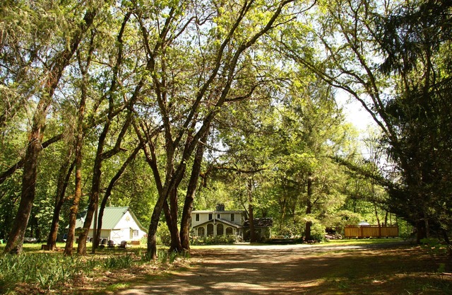 Beautiful Rustic Cabin and Bunkhouse on the Rogue River