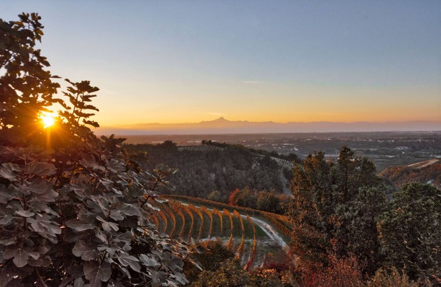 Schön rustikal in der Langhe