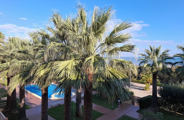 Beautiful apartment in 1st line on the sea with swimming pool, palm tree