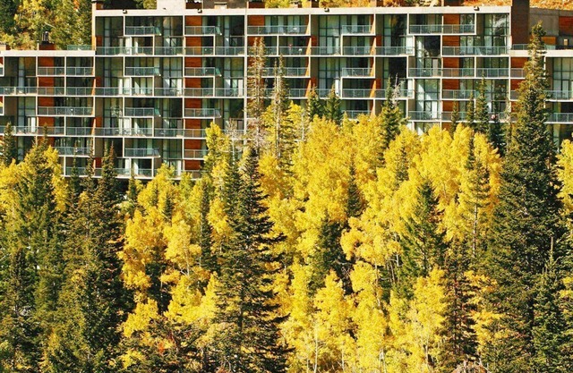 Beautiful studio unit at resort, sleeps 4