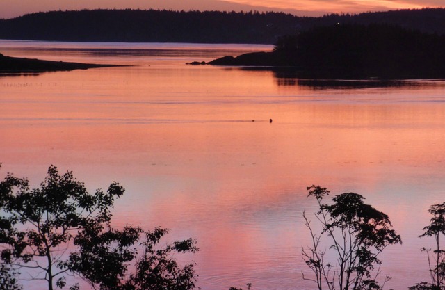 Beautiful Sunrises over Campobello Island & Passamaquoddy Bay at Lupine Cottage