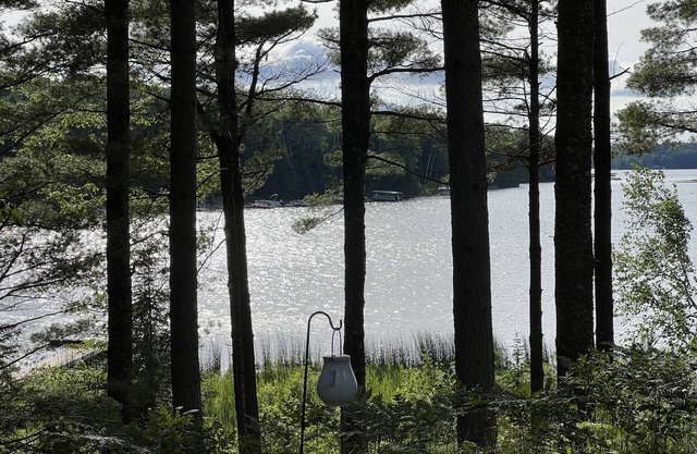 Beautiful Two Bedroom cabin on Plum Lake