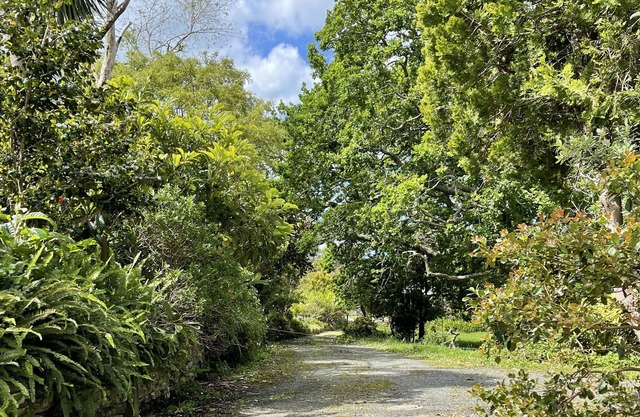 Beautiful views of the Whananaki estuary, from your cosy flat.