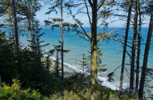Hideaway House: Schöne Aussicht auf das Wasser & Pvt. Strandweg zwischen Sequim & PA