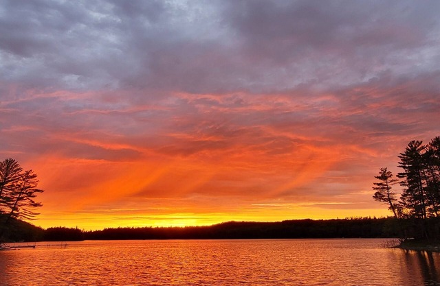 Beautifully Remodeled Lakefront Cottage With Picturesque Views Of Lake Mildred