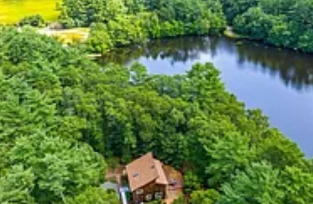 Beautifully wooded cabin on a pond- close to the city, even closer to the beach!