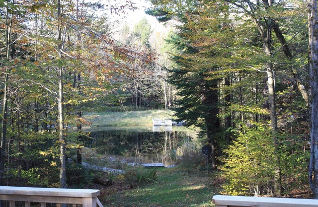Becket Contemporary Cottage im Wald mit Blick auf einen privaten Spring Fed Pond