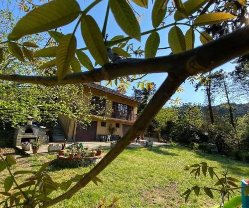 Bed & Breakfast Le cicale e la formica