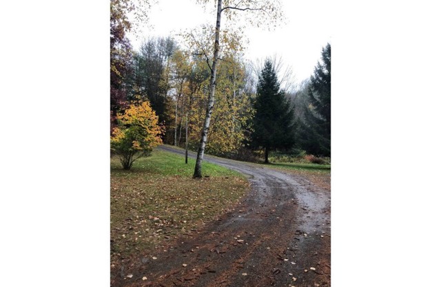 Beekman Woods