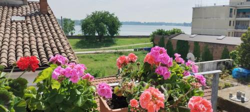 Bellavista Mantova