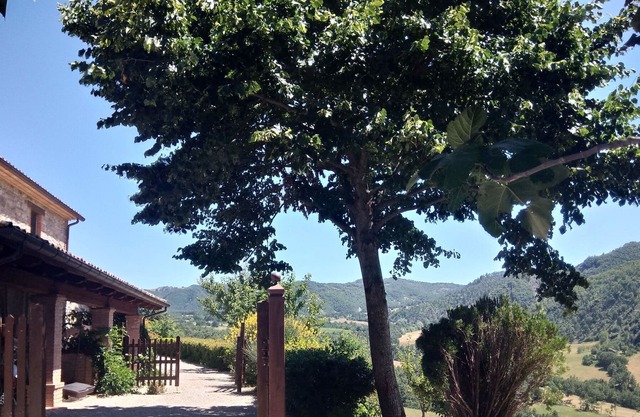 Gemütliches Apartment in Pennabilli mit Garten