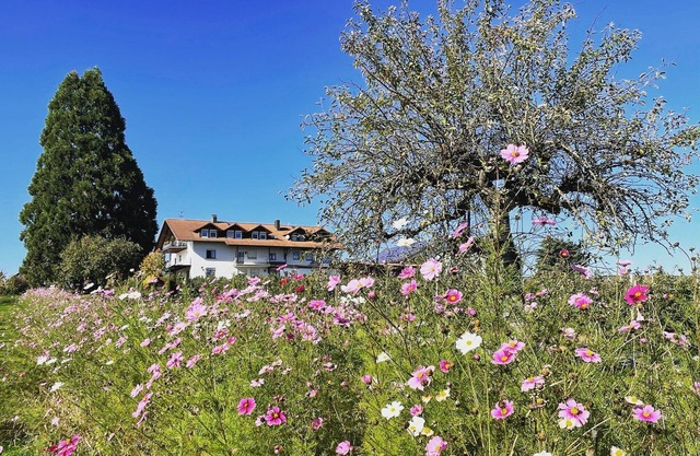 Bergblick Ferienwohnung - Hofgut am Bodensee mit traumhafter Aussicht
