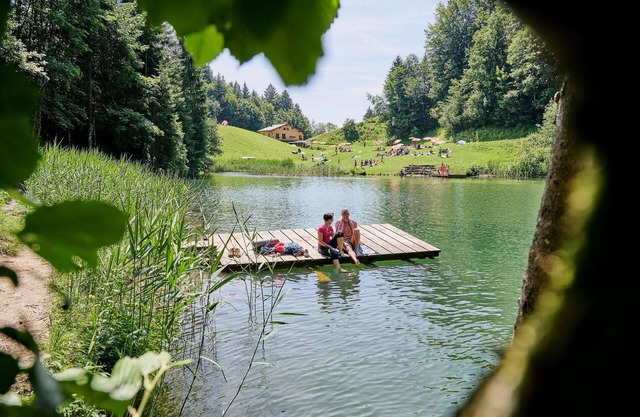 BergNest Großwalsertal - Appartement/Fewo, Dusche, WC, Wohn-/Schlafraum