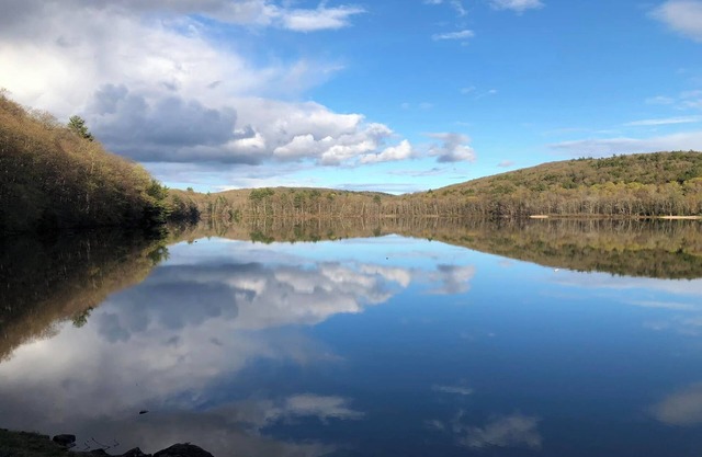 Berkshires' best! Tanglewood, Jacob's Pillow and 400 feet from a pristine lake