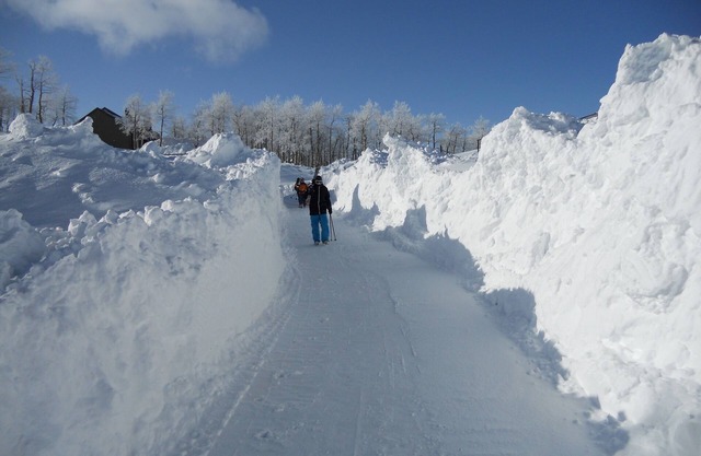 Ski-N / Out am Powder Mountain
