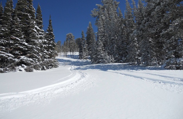 Bestes Angebot !! 3BR / 3BA Ski-in / out am Powder Mountain - seltene Pistenunterkunft