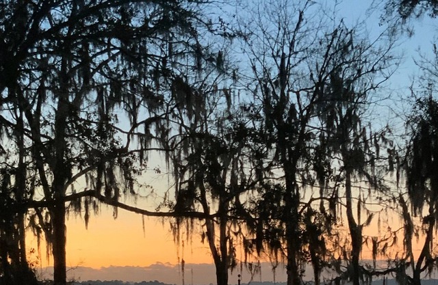 Bestens geheimer, friedlicher Rückzugsort am See