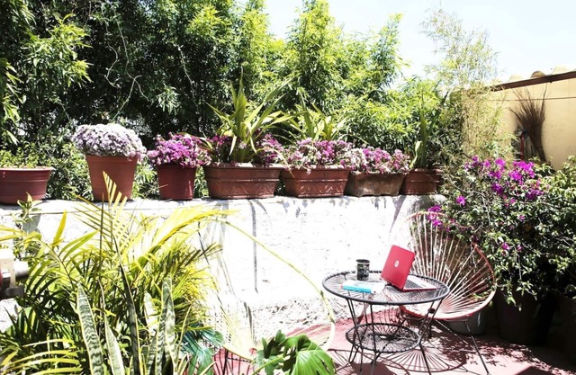 Schöne Wohnung mit Terrasse auf Roma Norte