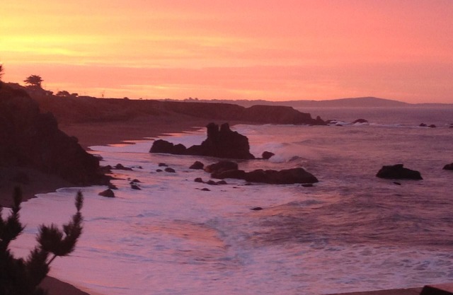 Beste Aussichten auf Sonoma Coast! Direkt am Strand., Whirlpool, Feuerstelle, Haustiere berücksichtigt