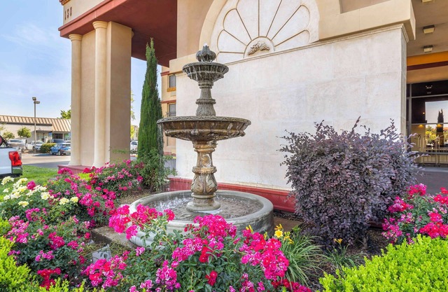 Best Western Plus Orchid Hotel & Suites