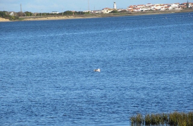 Zwischen Land, Strand und Stadt.