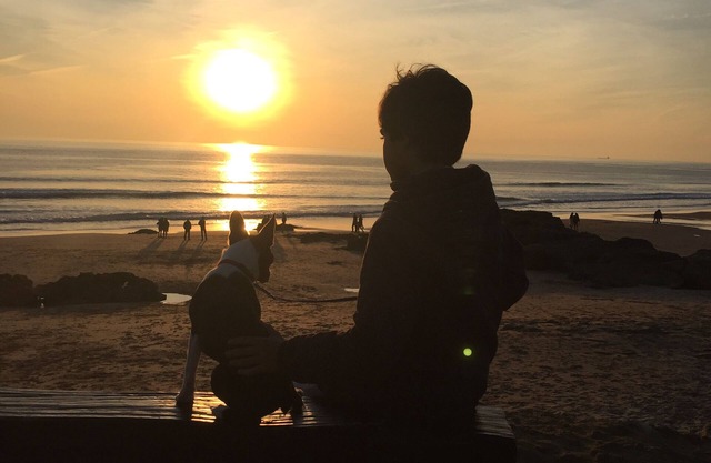 Zwischen dem Meer und Lissabon