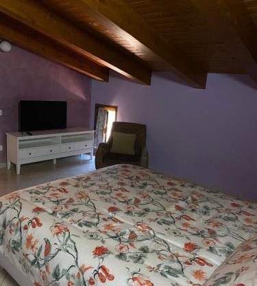 beucarnea apartment salerno