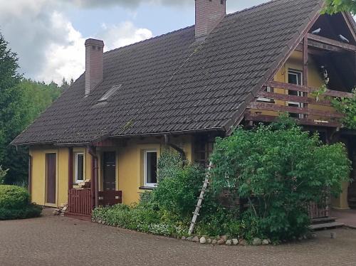 Biały Dzik Uszyszek