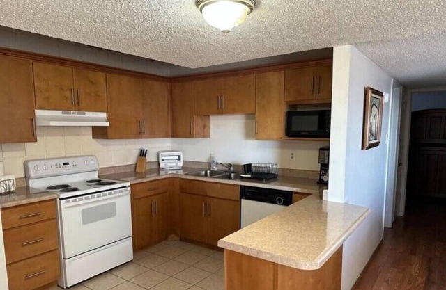 Big Bassett Condo
