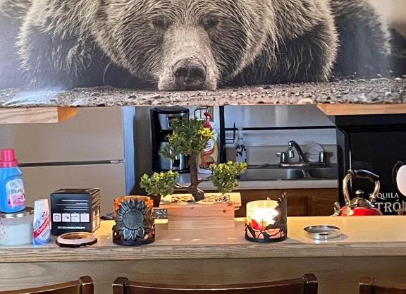 Big bear home