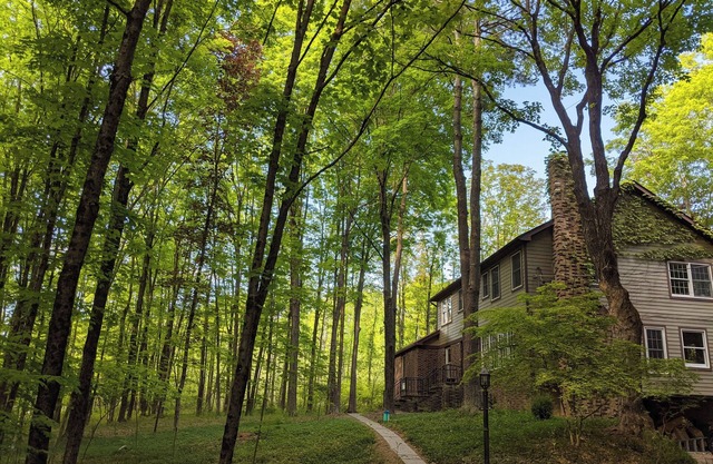 Big, Beautiful Home in the Woods - 2 minutes from New Paltz Village