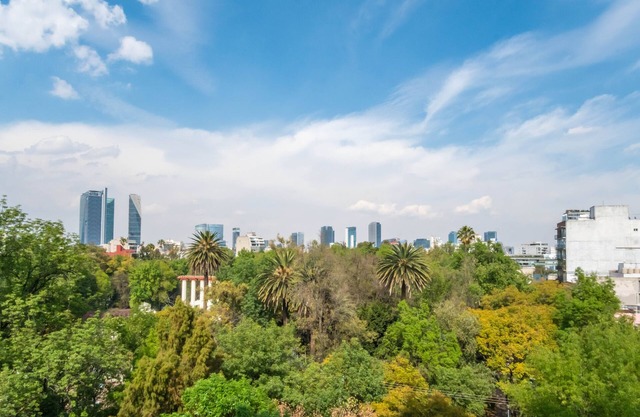 Big, Bright, Renovated Mexico City Apartment Facing Gorgeous Park in La Condesa