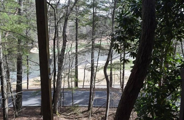 Big Canoe Condo with Views of Lake Sconti