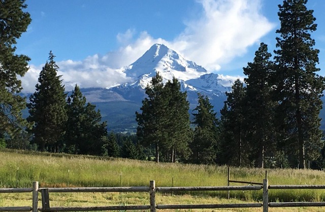 Großes Bauernhaus auf Fruchtschleife - tolle Aussicht auf die Berge