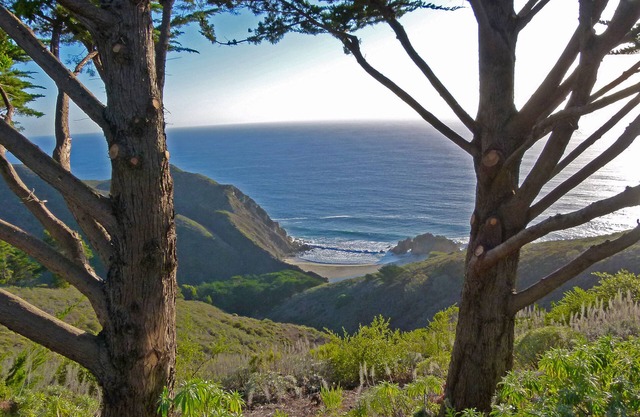Big Sur | "On a Clear Ridge kann man immer sehen."