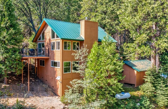 Big Tree Cabin
