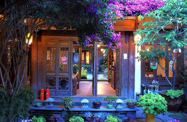 Big Tree Guesthouse