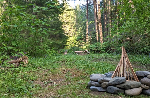 Bigfoot's Bivvy Tent Site ~8 mi to Mt. Rainier Natl Park Nisqually Entrance