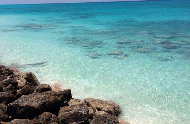 Resorts World Bimini, Tarpon 8 slip - 65Ft